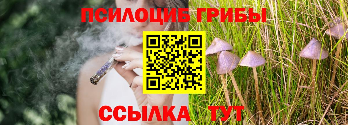 Псилоцибиновые грибы MAGIC MUSHROOMS Тимашёвск
